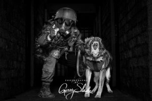 World Class Horse and Dog Photography by Gerry Slade